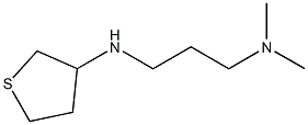 dimethyl[3-(thiolan-3-ylamino)propyl]amine Struktur