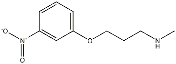 methyl[3-(3-nitrophenoxy)propyl]amine Struktur