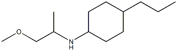 N-(1-methoxypropan-2-yl)-4-propylcyclohexan-1-amine Struktur