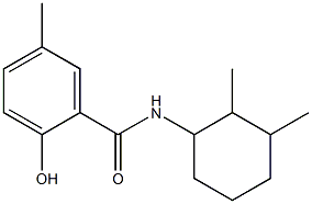 N-(2,3-dimethylcyclohexyl)-2-hydroxy-5-methylbenzamide Struktur