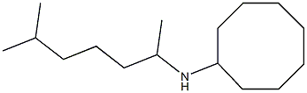 N-(6-methylheptan-2-yl)cyclooctanamine Struktur