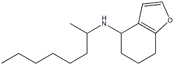 N-(octan-2-yl)-4,5,6,7-tetrahydro-1-benzofuran-4-amine Struktur