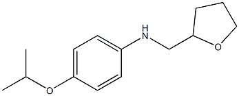 N-(oxolan-2-ylmethyl)-4-(propan-2-yloxy)aniline Struktur