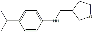 N-(oxolan-3-ylmethyl)-4-(propan-2-yl)aniline Struktur