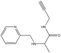 N-(prop-2-yn-1-yl)-2-[(pyridin-2-ylmethyl)amino]propanamide Struktur