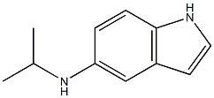 N-(propan-2-yl)-1H-indol-5-amine Struktur