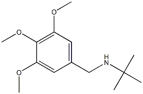 N-(tert-butyl)-N-(3,4,5-trimethoxybenzyl)amine Struktur