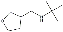 N-(tert-butyl)-N-(tetrahydrofuran-3-ylmethyl)amine Struktur