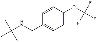 N-(tert-butyl)-N-[4-(trifluoromethoxy)benzyl]amine Struktur