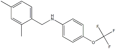 N-[(2,4-dimethylphenyl)methyl]-4-(trifluoromethoxy)aniline Struktur