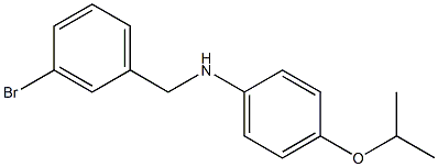 N-[(3-bromophenyl)methyl]-4-(propan-2-yloxy)aniline Struktur