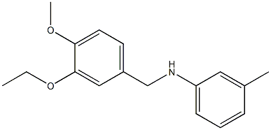 N-[(3-ethoxy-4-methoxyphenyl)methyl]-3-methylaniline Struktur