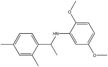 N-[1-(2,4-dimethylphenyl)ethyl]-2,5-dimethoxyaniline Struktur