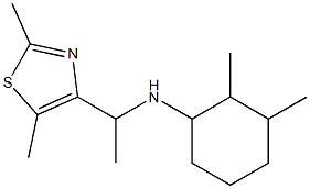 N-[1-(2,5-dimethyl-1,3-thiazol-4-yl)ethyl]-2,3-dimethylcyclohexan-1-amine Struktur