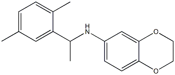 N-[1-(2,5-dimethylphenyl)ethyl]-2,3-dihydro-1,4-benzodioxin-6-amine Struktur