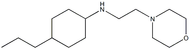 N-[2-(morpholin-4-yl)ethyl]-4-propylcyclohexan-1-amine Struktur