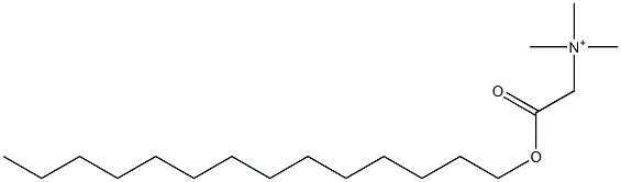 N-[2-(Tetradecyloxy)-2-oxoethyl]trimethylaminium Struktur