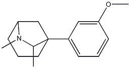 6,7-Dimethyl-1-(3-methoxyphenyl)-6-azabicyclo[3.2.1]octane Struktur