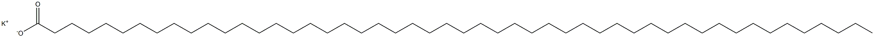 Pentacontanoic acid potassium salt Struktur