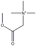 Methoxycarbonylmethyltrimethylammonium Struktur