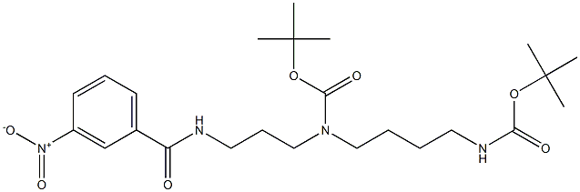 3-Nitro-N-[3-[(tert-butoxycarbonyl)[4-(tert-butoxycarbonylamino)butyl]amino]propyl]benzamide Struktur