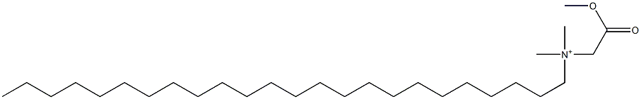 N-(Methoxycarbonylmethyl)-N,N-dimethyl-1-tetracosanaminium Struktur