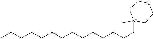 4-Methyl-4-tetradecylmorpholinium Struktur