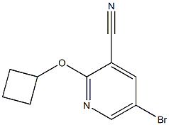 5-bromo-2-cyclobutoxypyridine-3-carbonitrile Struktur