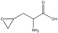 2-amino-4,5-epoxypentanoic acid Struktur