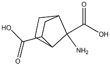 7-aminobicyclo(2.2.1)heptane-2,7-dicarboxyxlic acid Struktur