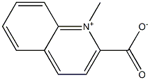 N-methylquinolinium-2-carboxylate Struktur