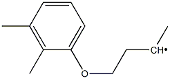 Methyl [3-(2,3-dimethylphenoxy)propyl]- Struktur