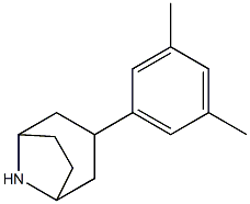 3-(3,5-dimethylphenyl)-8-azabicyclo[3.2.1]octane Struktur