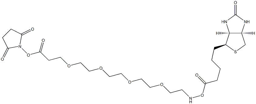 15-Biotinamino-4,7,10,13-tetraoxa-pentadecanoic acid succinimidyl ester Struktur