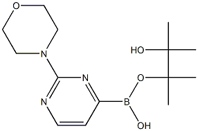 2-MORPHOLINOPYRIMIDINE-4-BORONIC ACID PINACOL ESTER Struktur