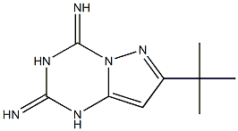 7-(tert-butyl)-1,2,3,4-tetrahydropyrazolo[1,5-a][1,3,5]triazine-2,4-diimine Struktur