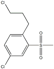 4-chloro-1-(3-chloropropyl)-2-(methylsulfonyl)benzene Struktur