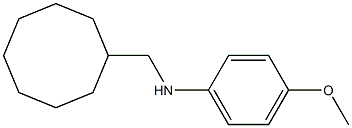 N-(cyclooctylmethyl)-4-methoxybenzenamine Struktur