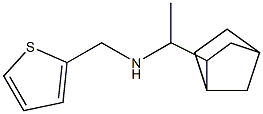 (1-{bicyclo[2.2.1]heptan-2-yl}ethyl)(thiophen-2-ylmethyl)amine Struktur