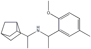 (1-{bicyclo[2.2.1]heptan-2-yl}ethyl)[1-(2-methoxy-5-methylphenyl)ethyl]amine Struktur