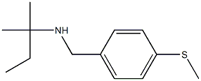 (2-methylbutan-2-yl)({[4-(methylsulfanyl)phenyl]methyl})amine Struktur