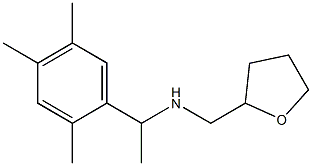 (oxolan-2-ylmethyl)[1-(2,4,5-trimethylphenyl)ethyl]amine Struktur