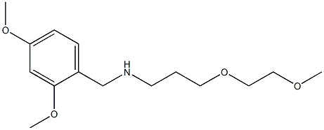 [(2,4-dimethoxyphenyl)methyl][3-(2-methoxyethoxy)propyl]amine Struktur