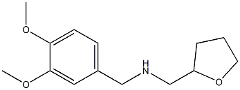 [(3,4-dimethoxyphenyl)methyl](oxolan-2-ylmethyl)amine Struktur