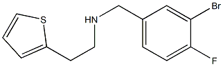 [(3-bromo-4-fluorophenyl)methyl][2-(thiophen-2-yl)ethyl]amine Struktur