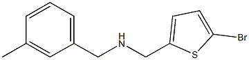 [(5-bromothiophen-2-yl)methyl][(3-methylphenyl)methyl]amine Struktur