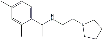 [1-(2,4-dimethylphenyl)ethyl][2-(pyrrolidin-1-yl)ethyl]amine Struktur