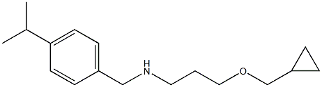 [3-(cyclopropylmethoxy)propyl]({[4-(propan-2-yl)phenyl]methyl})amine Struktur