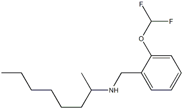 {[2-(difluoromethoxy)phenyl]methyl}(octan-2-yl)amine Struktur