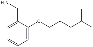 {2-[(4-methylpentyl)oxy]phenyl}methanamine Struktur